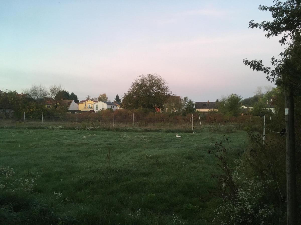 Alte Heimat Schwegenheim Exterior foto