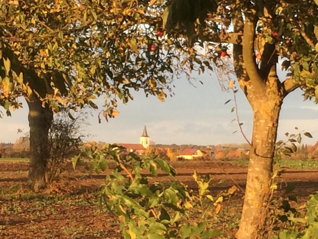 Alte Heimat Schwegenheim Exterior foto
