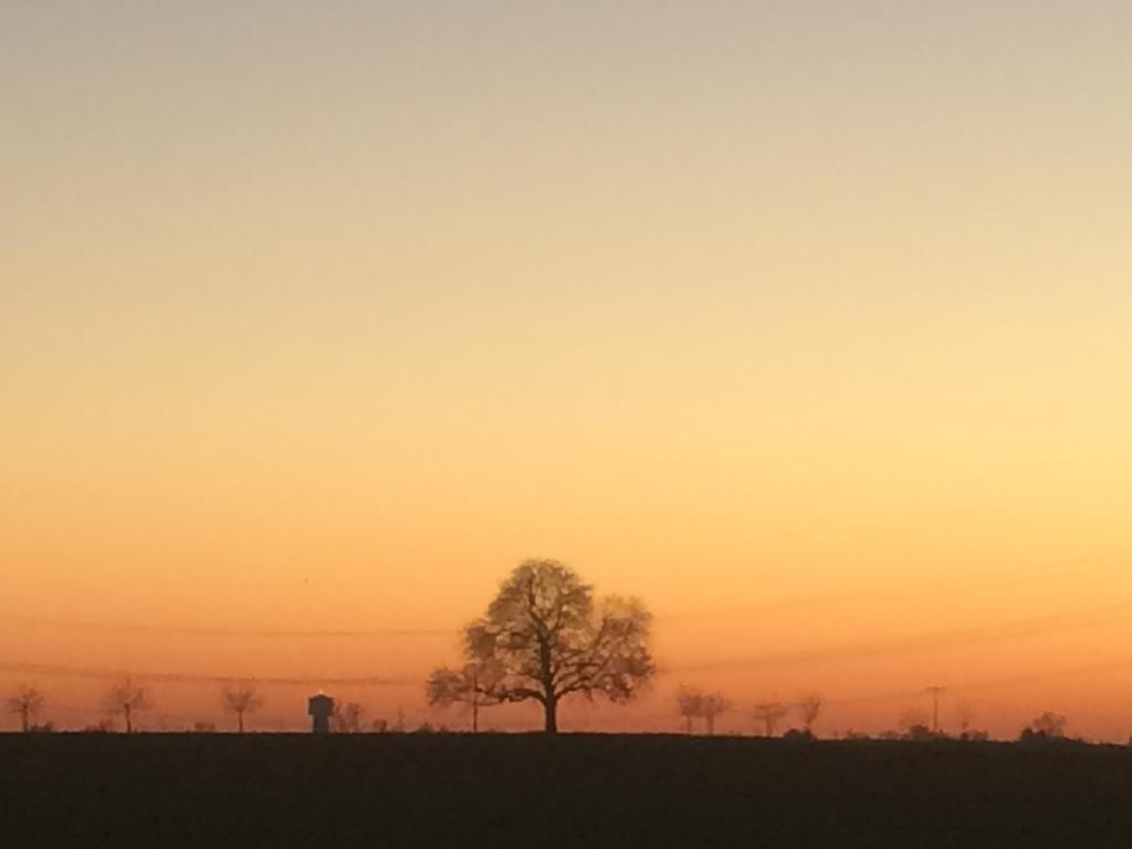 Alte Heimat Schwegenheim Exterior foto