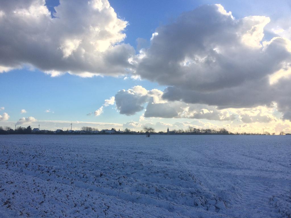 Alte Heimat Schwegenheim Exterior foto
