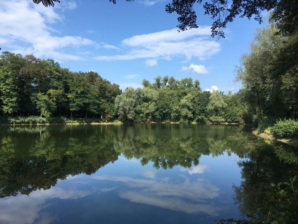 Alte Heimat Schwegenheim Exterior foto